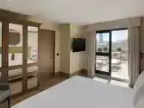 Двухместный люкс Terrace Presidential с красивым видом из окна