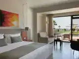 Двухместный Junior Suite beachfront