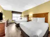 Четырёхместный номер Pet Friendly