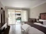 Двухместный номер Swim Up Inland View