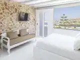 Двухместный люкс Executive