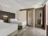 Четырёхместный люкс с 2 комнатами с 1 спальней