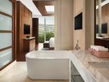 Двухместный полулюкс Executive Lounge Access c 1 комнатой с видом на город