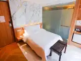 Двухместный номер Superior с видом на город