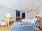 Двухместный номер Premier