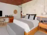 Двухместный люкс with jungle view