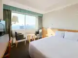 Двухместный номер Skytree View