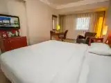 Двухместный номер Deluxe с видом на город