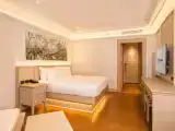 Двухместный номер Premier Superior