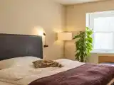Двухместный номер Стандарт Design