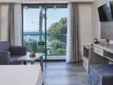 Двухместный номер Deluxe с частичным видом на море