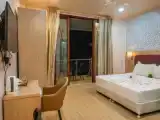Двухместный номер Deluxe с видом на город