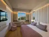 Двухместный номер Executive