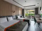 Трёхместный номер Deluxe Swim-Up