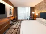 Номер Mobility Accessible with Roll-in Shower Deluxe с видом на город