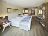 Трёхместный номер Modern