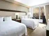 Двухместный номер Premium Skyline View