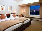 Двухместный номер Hearth Floor Harmony