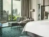 Двухместный клубный номер Premier с видом на парк
