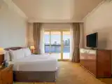 Двухместный номер Deluxe with Nile View