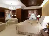 Двухместный люкс Royal Griffin Presidential c 1 комнатой с видом на город