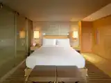 Двухместный полулюкс La Cime Lounge Access (Executive Tower)