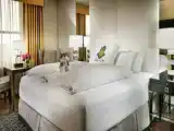 Двухместный номер Celebrity