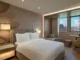 Двухместный номер Deluxe с видом на город