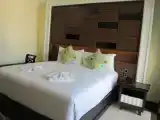 Двухместный номер Premier с видом на город
