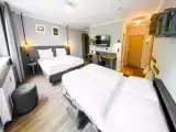 Двухместный номер Cozy
