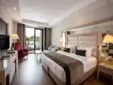 Двухместный номер Swim Up