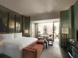 Двухместный номер с террасой Premier