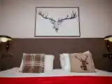 Семейный номер Executive with bunk bed