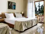 Двухместный номер семейный с видом на горы