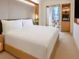 Двухместная студия Skyline view Alcove