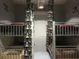 Семейный номер