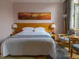 Двухместный люкс Yibin Building Business