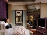 Двухместный люкс Club Lounge Access (только для двух человек) The Ritz-Carlton The Bund River View