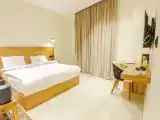 Одноместный номер Deluxe