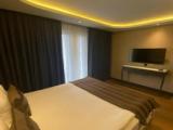 Двухместная Studio Apartment
