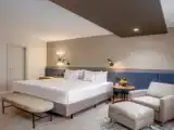 Двухместный номер The Level Premium