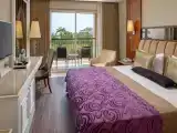 Одноместный номер Deluxe Building Стандарт
