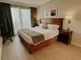 Двухместный люкс Buenos Aires Executive с балконом