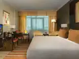 Двухместный номер Swiss Executive