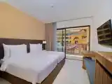 Двухместный номер Deluxe Premier с балконом