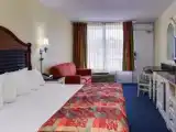 Двухместный номер Стандарт с видом на бассейн