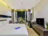 Двухместный номер Senior Deluxe с балконом и с видом на город