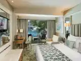 Двухместный номер Annex Стандарт Swim-up