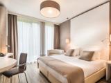 Двухместный номер Luxury with Rhine view