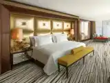 Люкс Presidential Duplex